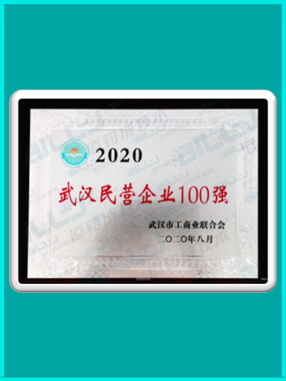 2020武漢民營企業100強