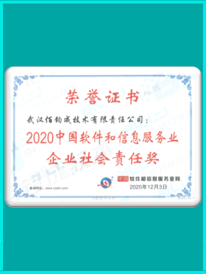 2020中國軟件和信息服務業企業社會責任獎
